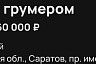 В Саратове за стрижку собак готовы платить 60 тысяч рублей