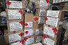 В Энгельсе волонтеры собирают для бойцов гуманитарку и сдают кровь